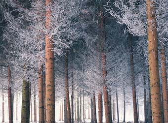 10種實驗室培養(yǎng)箱的功能及區(qū)別