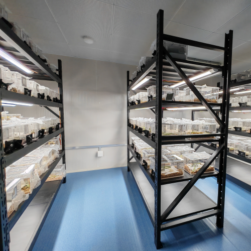 養(yǎng)蟲(chóng)室/昆蟲(chóng)飼養(yǎng)室